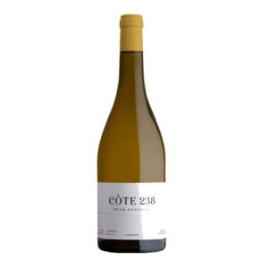 Witte wijn Pech Gentille Albarino Côte 238 in fles.