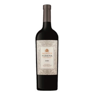 Salentein Numina Malbec wijn uit Argentinië, perfect voor bij vlees en kaas.